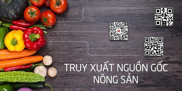 Truy xuất nguồn gốc thực phẩm là gì? Áp dụng nó như thế nào?