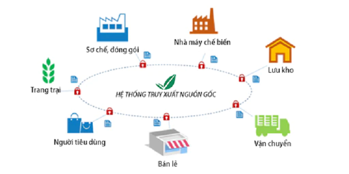 Quy trình truy xuất nguồn gốc