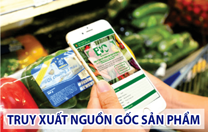 Truy xuất nguồn gốc sản phẩm là gì?