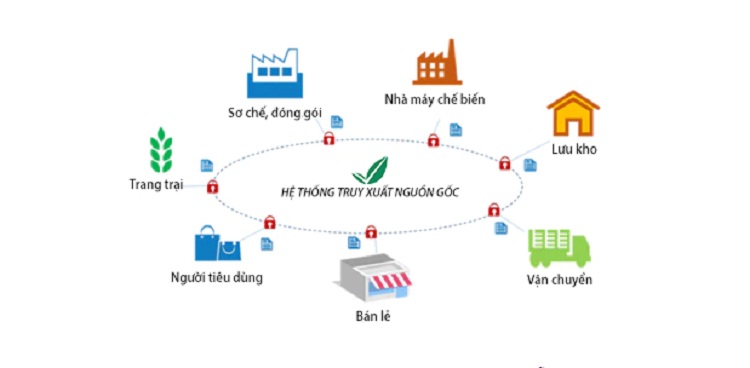 Truy xuất nguồn gốc trong sản xuất là gì?